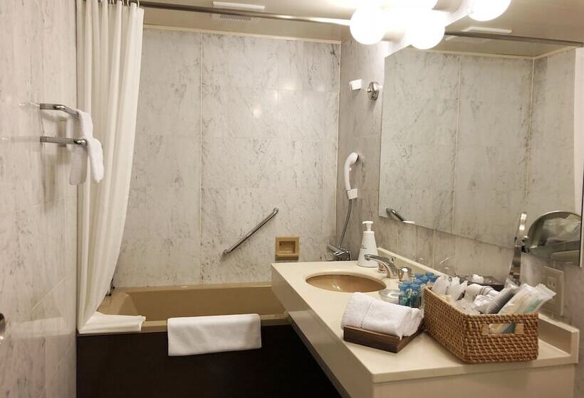 经典套房, Infinito Hotel & Spa Nanki Shirahama