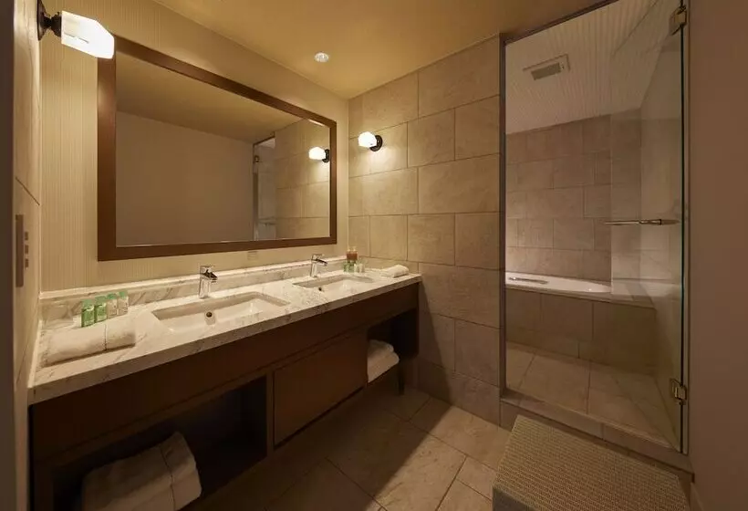 ロイヤルスイート, Infinito Hotel & Spa Nanki Shirahama