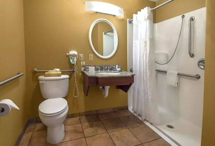 身障者適用スイートルーム, Candlewood Suites Buffalo Amherst, An Ihg