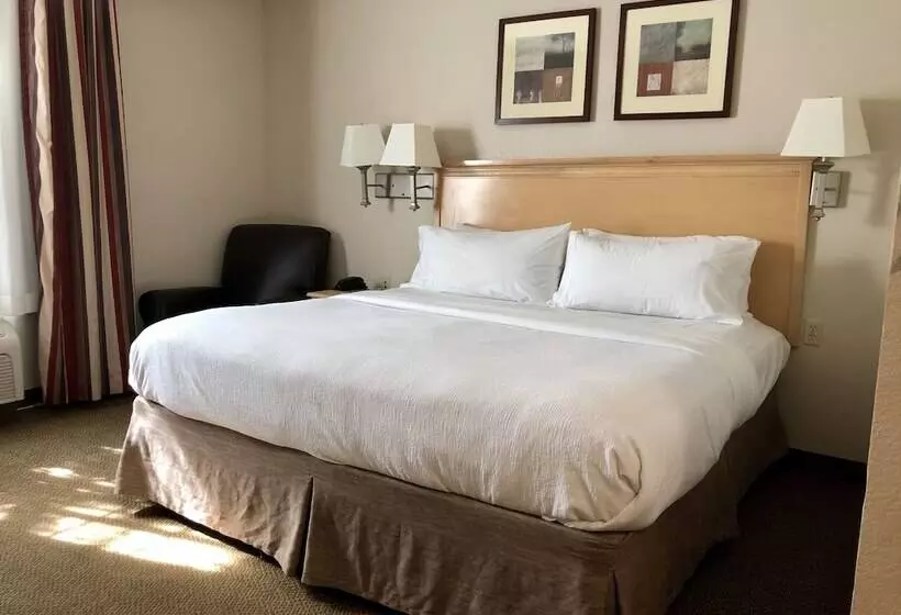スタンダードスタジオ, Candlewood Suites Houston The Woodlands, An Ihg