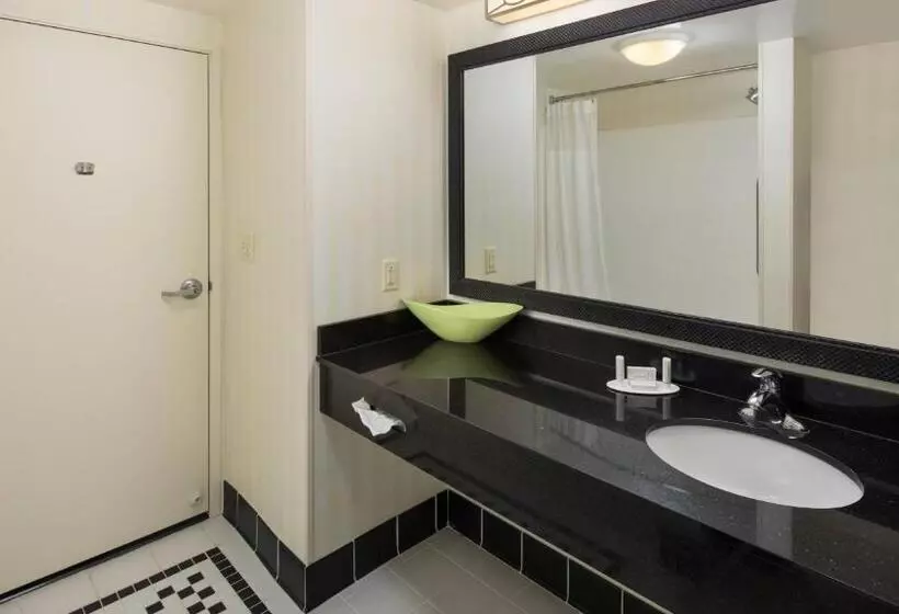 スタンダードルーム, Fairfield Inn And Suites By Marriott Conway