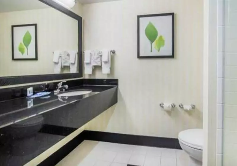 キングサイズベッドのスタンダードルーム, Fairfield Inn And Suites By Marriott Conway