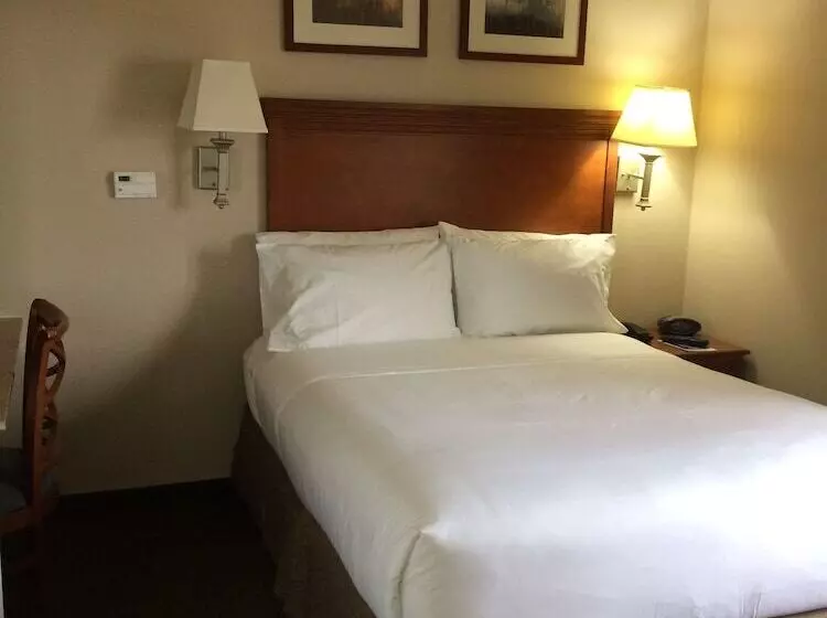 スタンダードスタジオ, Candlewood Suites Jacksonville, An Ihg
