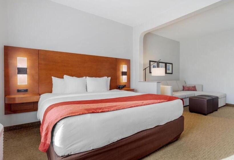 جناح سرير كينج, Comfort Suites La Porte