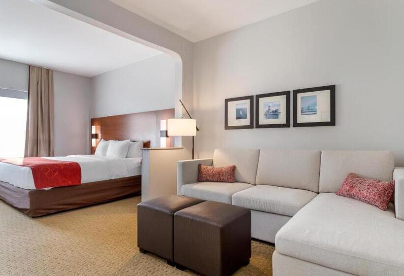 جناح سرير كينج, Comfort Suites La Porte