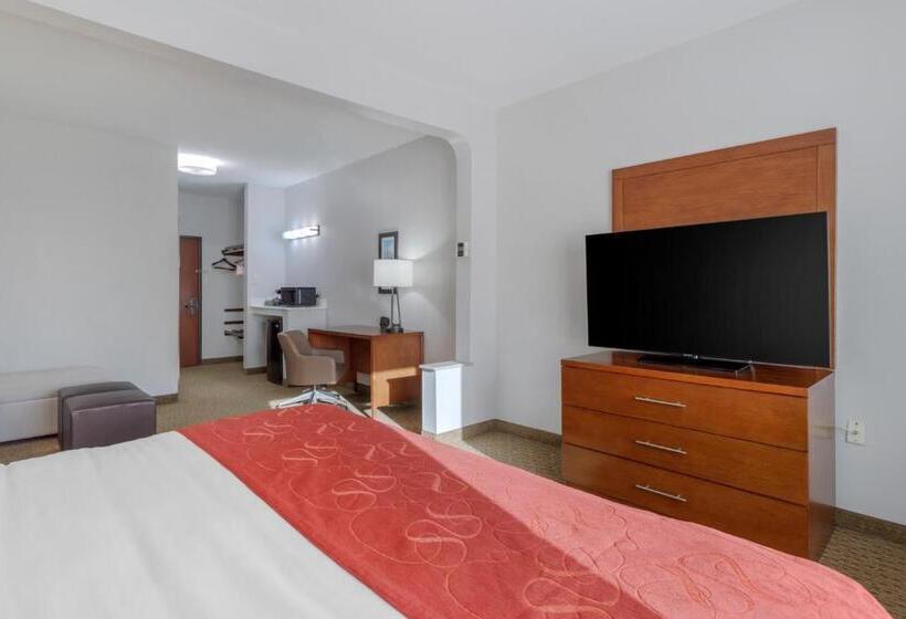 Люкс Кровать Кинг, Comfort Suites La Porte