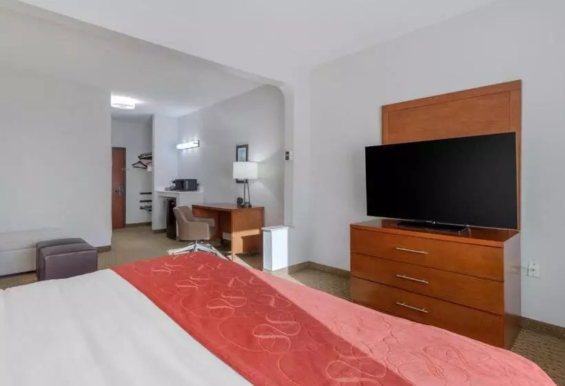 キングサイズベッドのスイートルーム, Comfort Suites La Porte