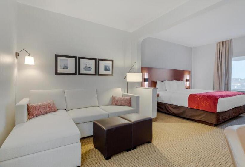 جناح سرير كينج, Comfort Suites La Porte