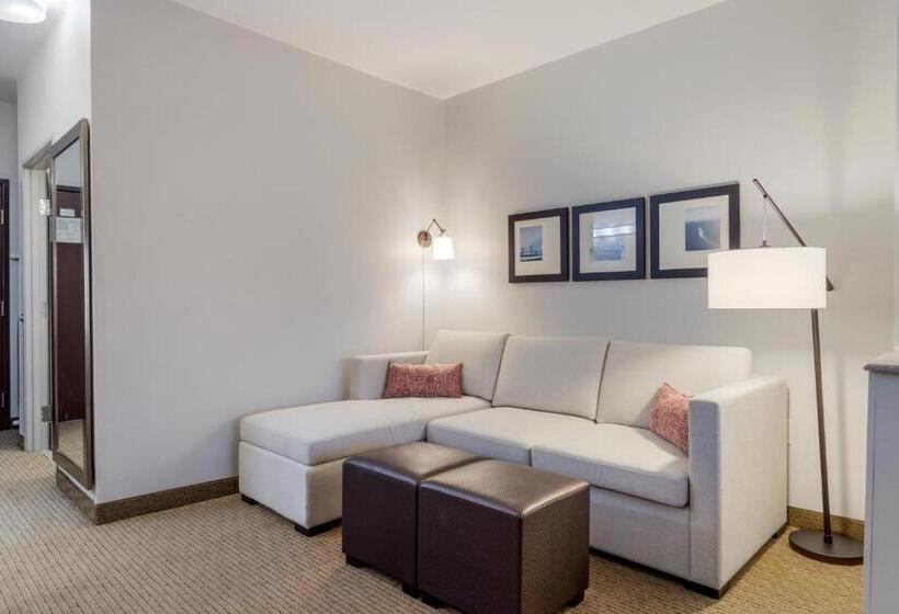 Люкс Кровать Кинг, Comfort Suites La Porte