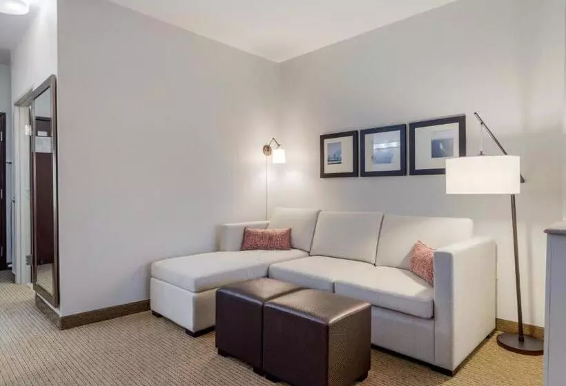 スイート, Comfort Suites La Porte