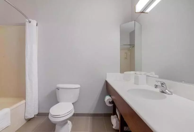 スイート, Comfort Suites La Porte