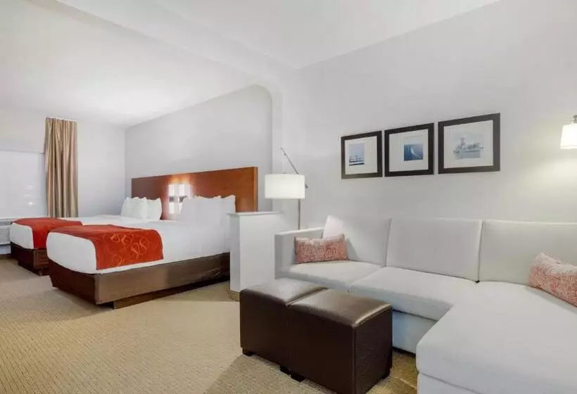 スイート, Comfort Suites La Porte