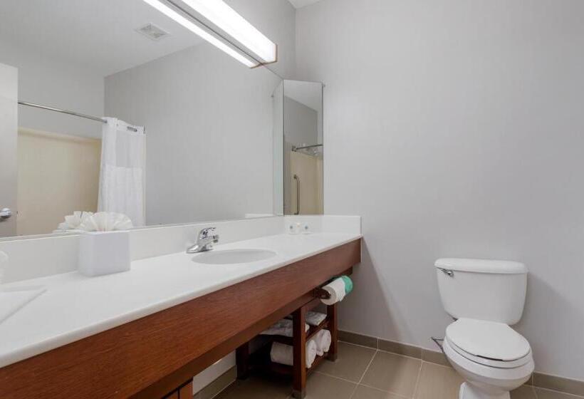 Люкс, Comfort Suites La Porte