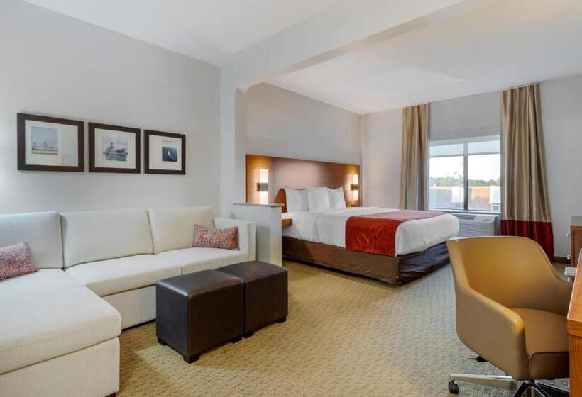 جناح لذوى الاحتياجات الخاصة, Comfort Suites La Porte