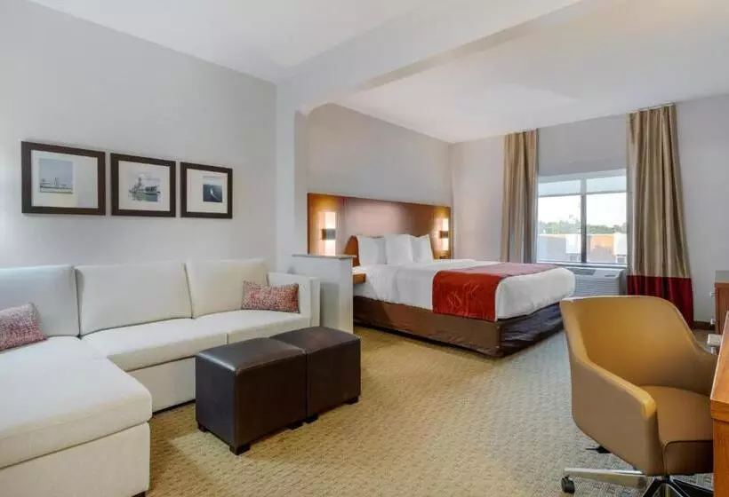 身障者適用スイートルーム, Comfort Suites La Porte