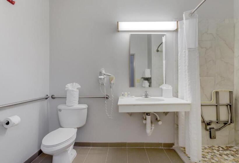Люкс Адаптированный для Инвалидов, Comfort Suites La Porte