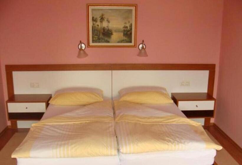 اتاق استاندارد یک نفره, Delminium