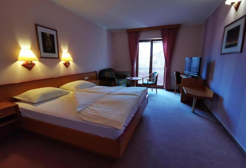 اتاق استاندارد, Delminium