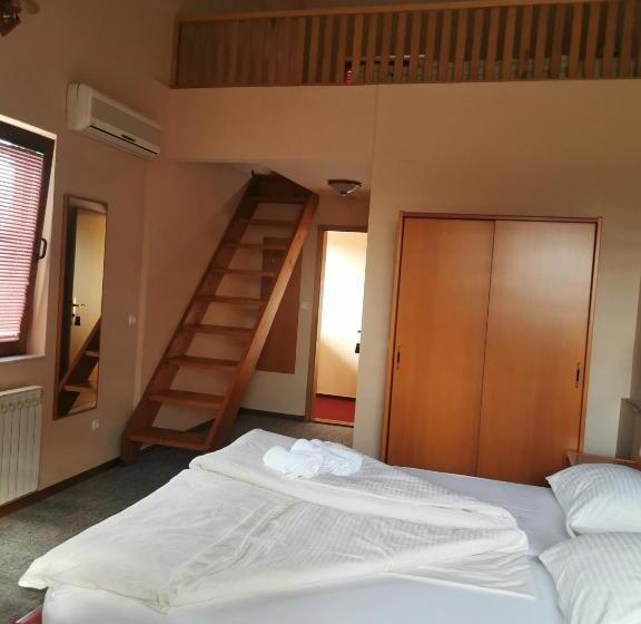 اتاق استاندارد سه نفره, Delminium