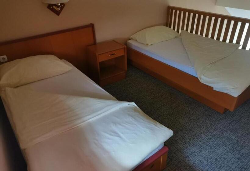 اتاق استاندارد سه نفره, Delminium