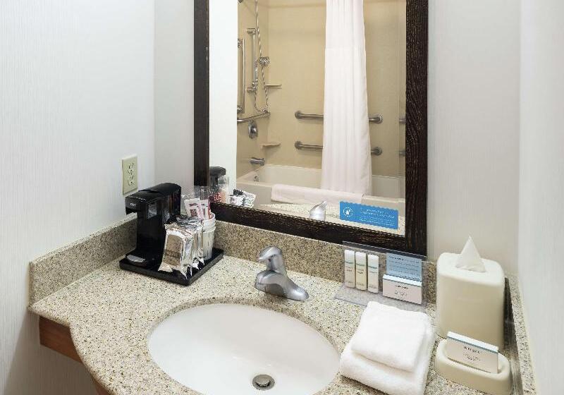 带大床的标准间, Hampton Inn & Suites Clovisairport North