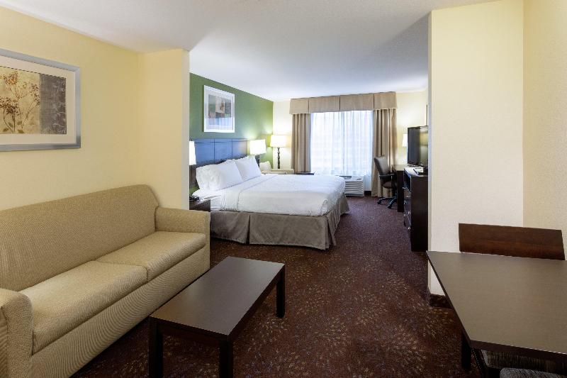 身障者適用スイートルーム, Holiday Inn Express And Suites Rochester West Medical Center, An Ihg
