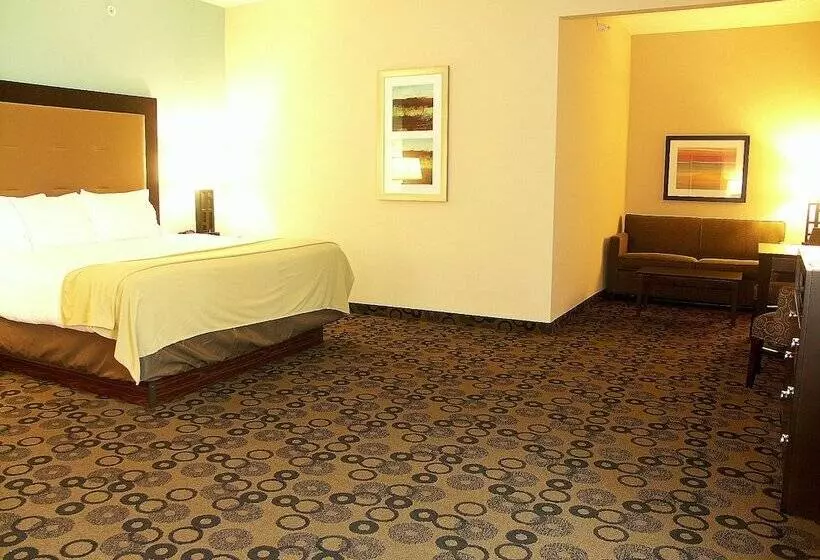 スイート, Holiday Inn Express & Suites   Cleveland Northwest, An Ihg