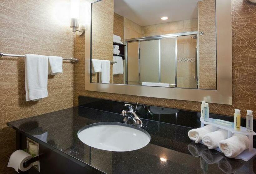 キングサイズベッドのスタンダードルーム, Holiday Inn Express And Suites Rochester West Medical Center, An Ihg