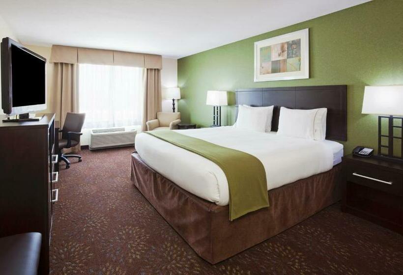 キングサイズベッドのスタンダードルーム, Holiday Inn Express And Suites Rochester West Medical Center, An Ihg