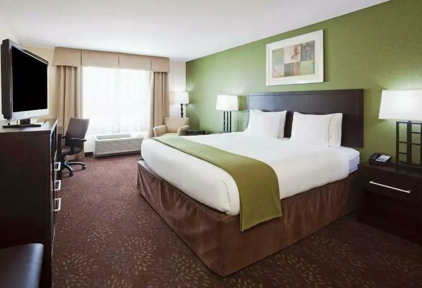 اتاق استاندارد با تخت بزرگ, Holiday Inn Express And Suites Rochester West Medical Center, An Ihg