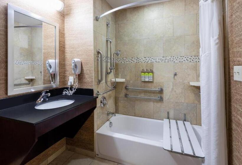 Номер Стандарт Кровать Кинг Адаптированный для Инвалидов, Holiday Inn Express And Suites Rochester West Medical Center, An Ihg