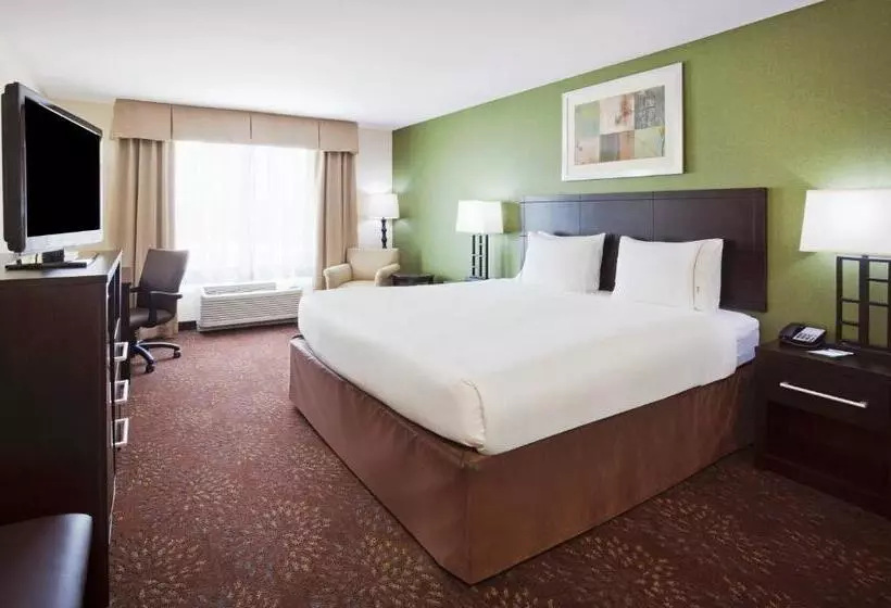 اتاق لوکس با تخت بزرگ, Holiday Inn Express And Suites Rochester West Medical Center, An Ihg