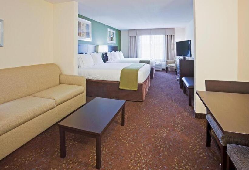 デラックスルーム, Holiday Inn Express And Suites Rochester West Medical Center, An Ihg