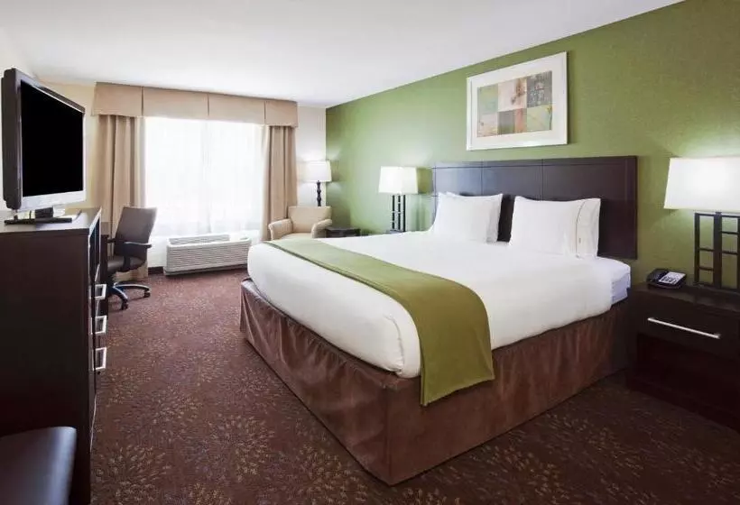 سوئیت با تخت بزرگ, Holiday Inn Express And Suites Rochester West Medical Center, An Ihg