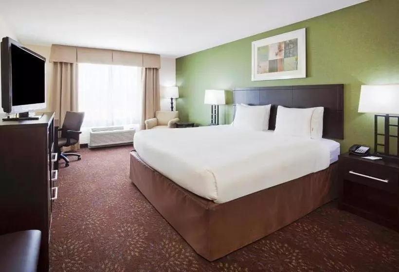 سوئیت با تخت بزرگ, Holiday Inn Express And Suites Rochester West Medical Center, An Ihg