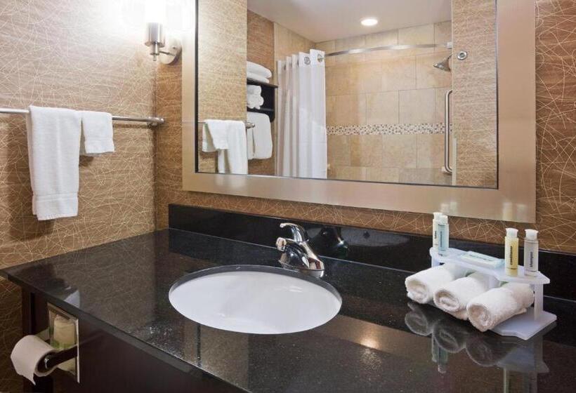 Люкс Deluxe Кровать Кинг, Holiday Inn Express And Suites Rochester West Medical Center, An Ihg