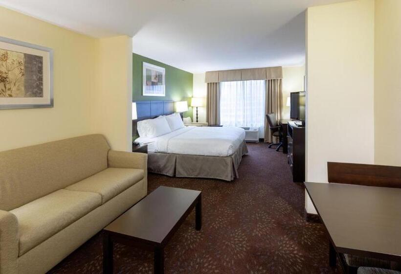 Люкс Deluxe Кровать Кинг, Holiday Inn Express And Suites Rochester West Medical Center, An Ihg