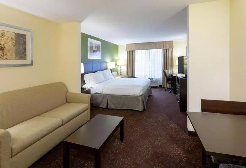 Deluxe Suite King Bed, Holiday Inn Express And Suites Rochester West Medical Center, An Ihg