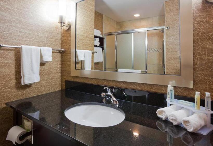 身障者適用スタンダードルーム, Holiday Inn Express And Suites Rochester West Medical Center, An Ihg