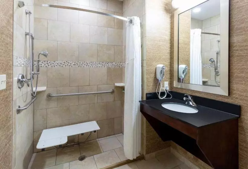 سوئیت برای معلولان, Holiday Inn Express And Suites Rochester West Medical Center, An Ihg