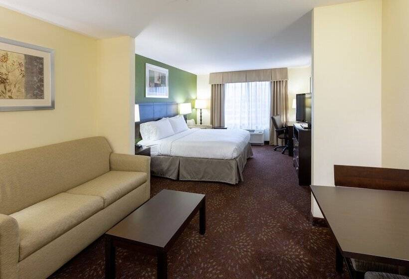 身障者適用スイートルーム, Holiday Inn Express And Suites Rochester West Medical Center, An Ihg