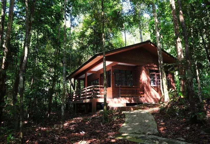 ویلای 1 خوابه, Permai Rainforest Resort