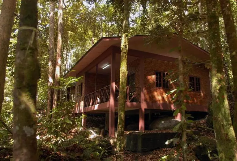 ویلای 1 خوابه, Permai Rainforest Resort