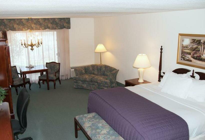 غرفة قياسية سرير كينج, River Terrace Inn