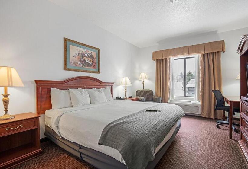 סוויטה מותאמת לאדם עם מוגבלויות, Stay Usa Hotel And Suites