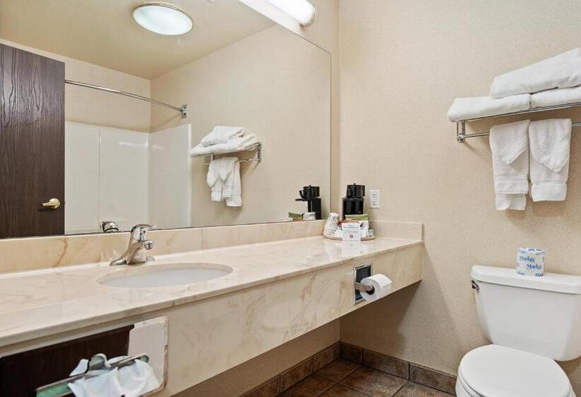 סוויטה מותאמת לאדם עם מוגבלויות, Stay Usa Hotel And Suites