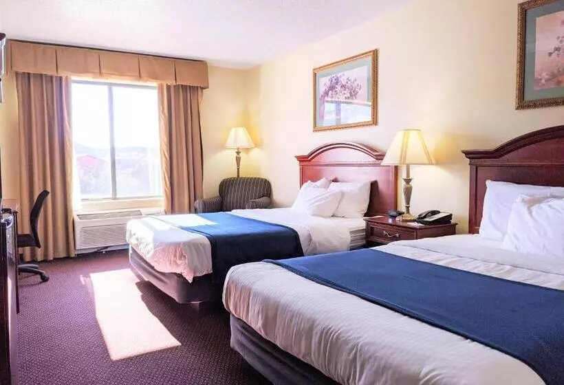 身障者適用スイートルーム, Stay Usa Hotel And Suites