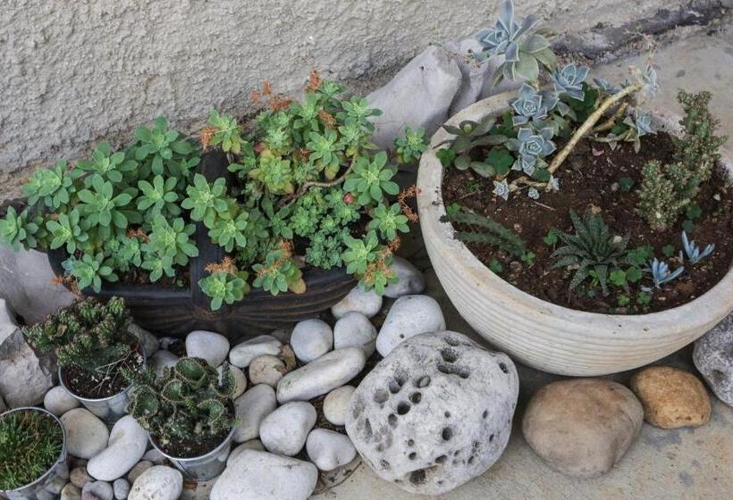 带城市景观带一个卧室的公寓, K Apartments