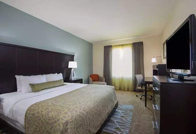 身障者適用スイートルーム, Staybridge Suites Amarillo Western Crossing, An Ihg