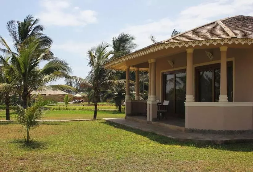 اتاق سوپریور, Ocean Beach Resort & Spa